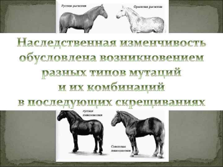 изменчивость 