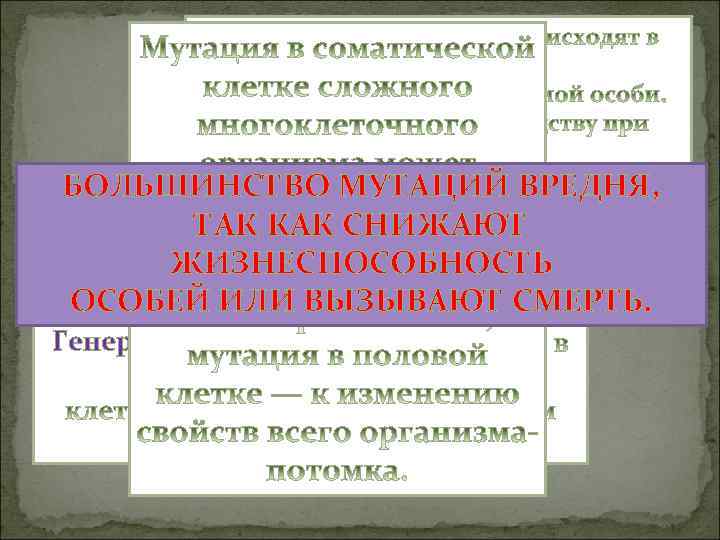 Соматические мутации БОЛЬШИНСТВО МУТАЦИЙ ВРЕДНЯ, ТАК КАК СНИЖАЮТ ЖИЗНЕСПОСОБНОСТЬ ОСОБЕЙ ИЛИ ВЫЗЫВАЮТ СМЕРТЬ. Генеративные