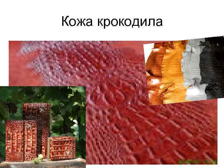 Кожа крокодила 