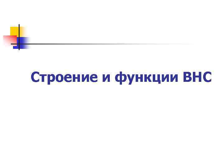 Строение и функции ВНС 
