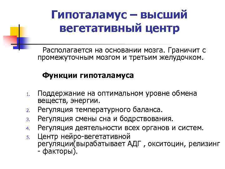 Гипоталамус – высший вегетативный центр Располагается на основании мозга. Граничит с промежуточным мозгом и