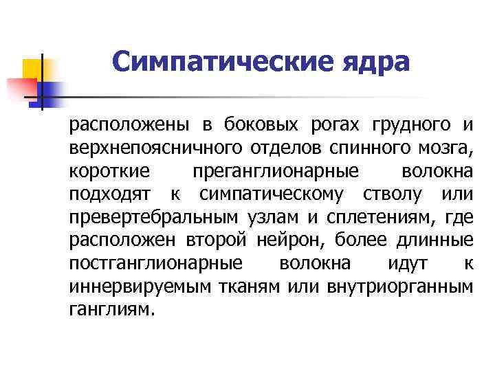 Симпатические ядра расположены в боковых рогах грудного и верхнепоясничного отделов спинного мозга, короткие преганглионарные
