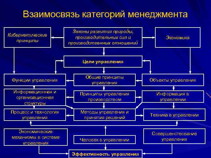 Взаимосвязь категорий менеджмента Кибернетические принципы Законы развития природы, производительных сил и производственных отношений Экономика