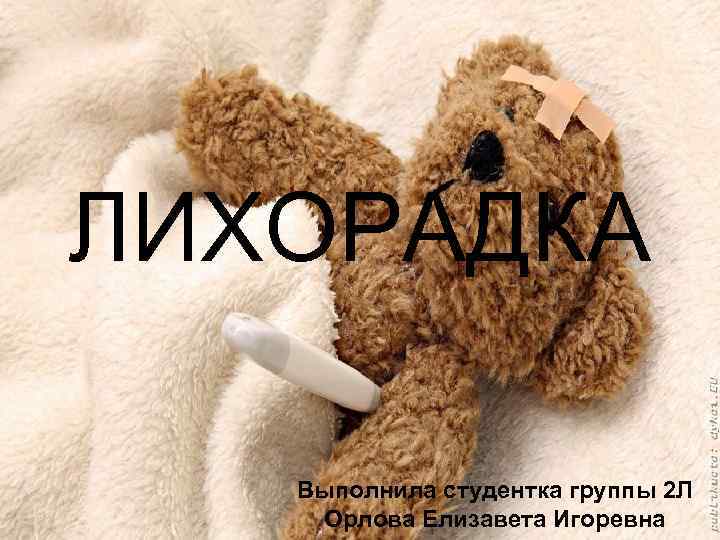 ЛИХОРАДКА Выполнила студентка группы 2 Л Орлова Елизавета Игоревна 