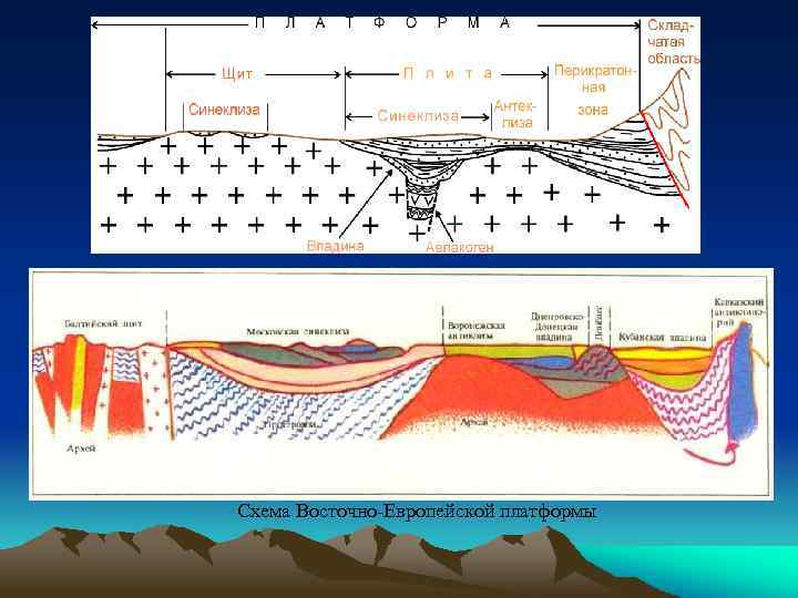 Схема Восточно-Европейской платформы 