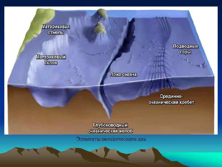 Элементы океанического дна 