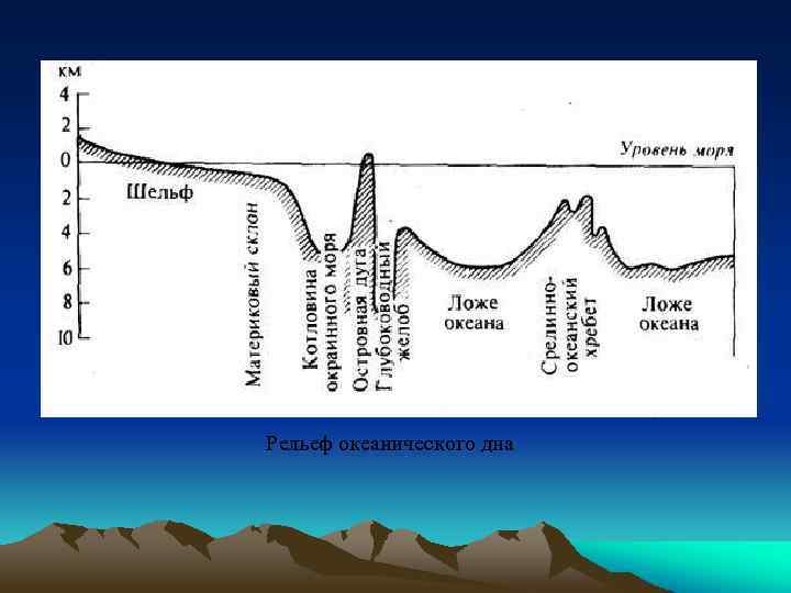 Рельеф океанического дна 