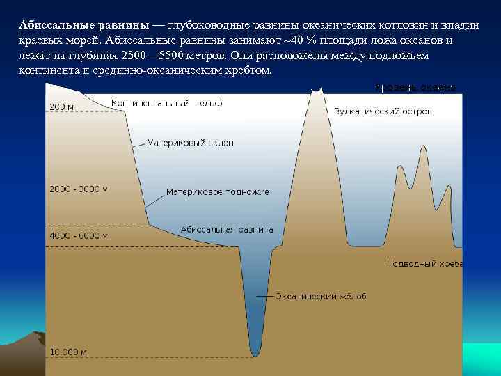 Абиссальные равнины — глубоководные равнины океанических котловин и впадин краевых морей. Абиссальные равнины занимают