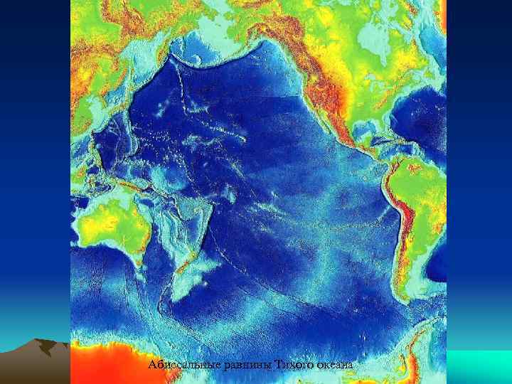 Абиссальные равнины Тихого океана 