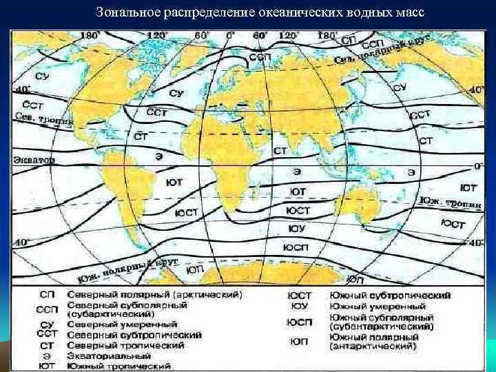 Зональное распределение океанических водных масс 