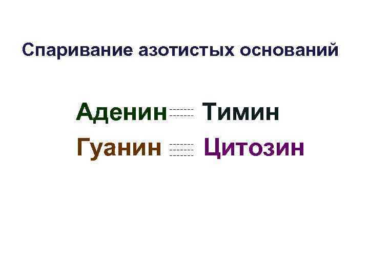 Спаривание азотистых оснований Аденин Гуанин Тимин Цитозин 