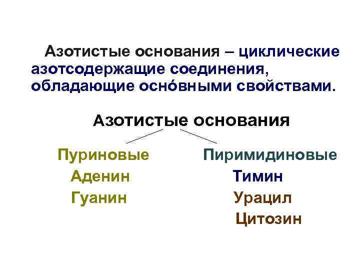 Азотистые основания – циклические азотсодержащие соединения, обладающие оснóвными свойствами. Азотистые основания Пуриновые Аденин Гуанин