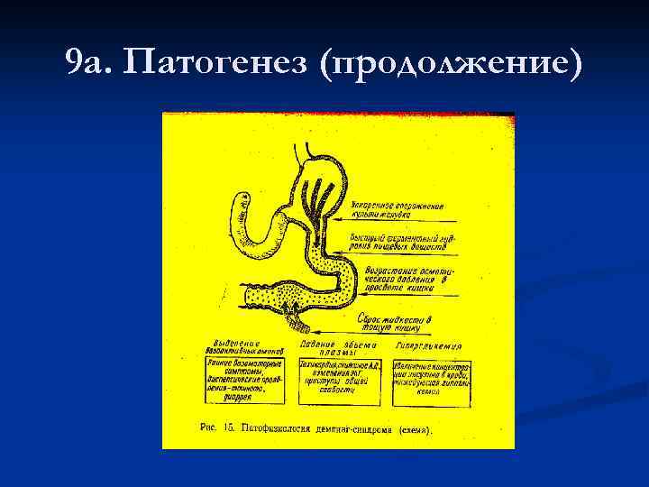 9 а. Патогенез (продолжение) 