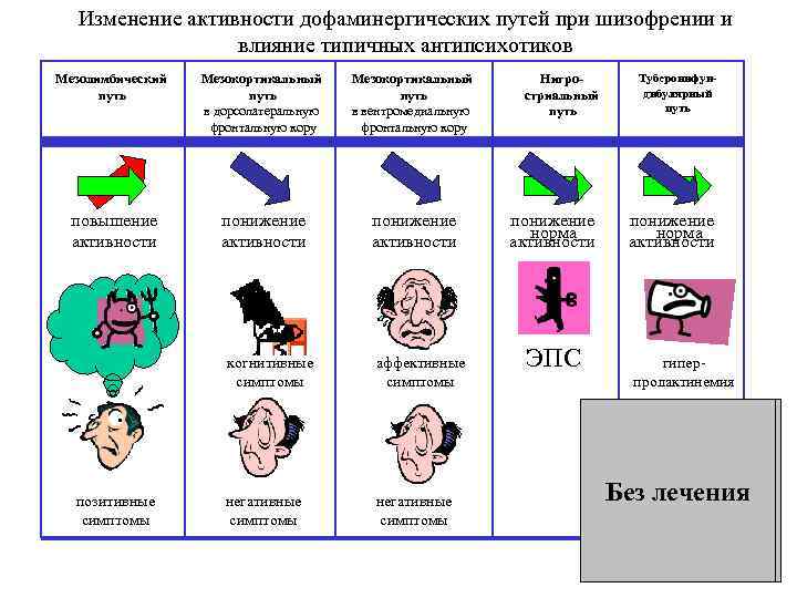 Изменение активности дофаминергических путей при шизофрении и влияние типичных антипсихотиков Мезолимбический путь Мезокортикальный путь