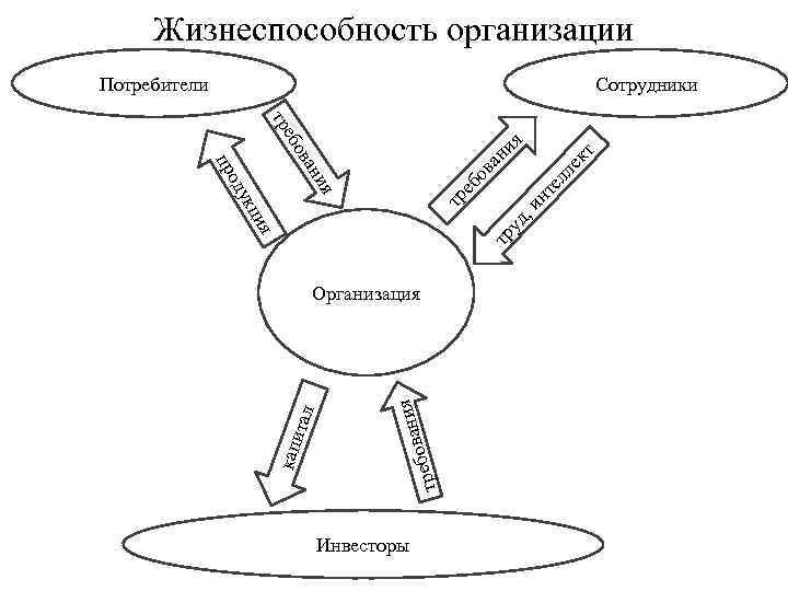 Жизнеспособность проекта пример