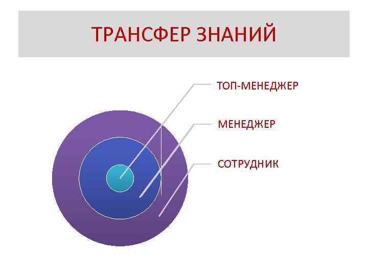 ТРАНСФЕР ЗНАНИЙ ТОП-МЕНЕДЖЕР СОТРУДНИК 