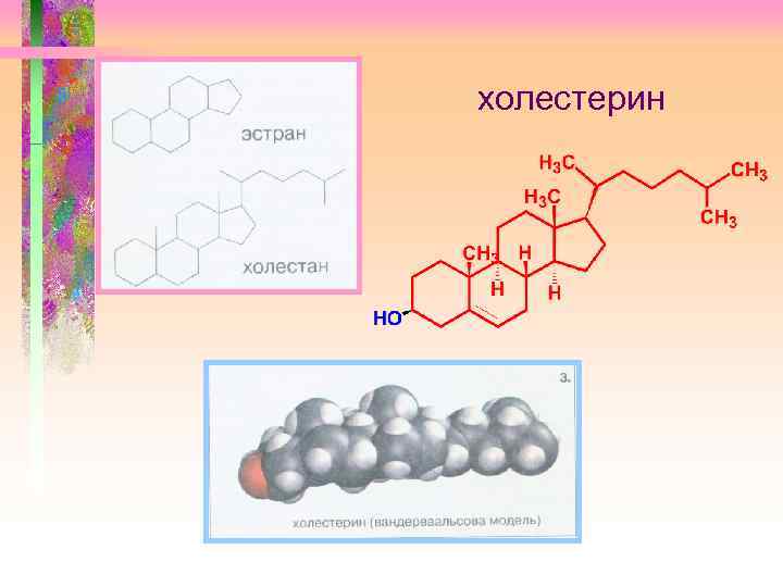 холестерин 