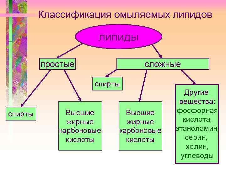 Классификация омыляемых липидов липиды простые сложные спирты Высшие жирные карбоновые кислоты Другие вещества: фосфорная