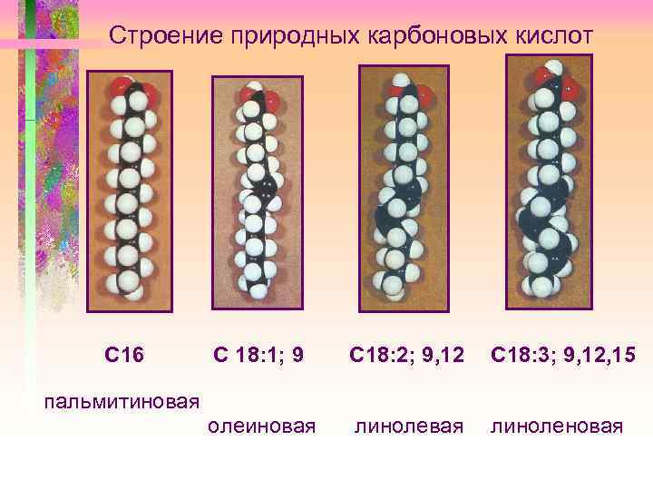 Строение природных карбоновых кислот С 16 С 18: 1; 9 С 18: 2; 9,