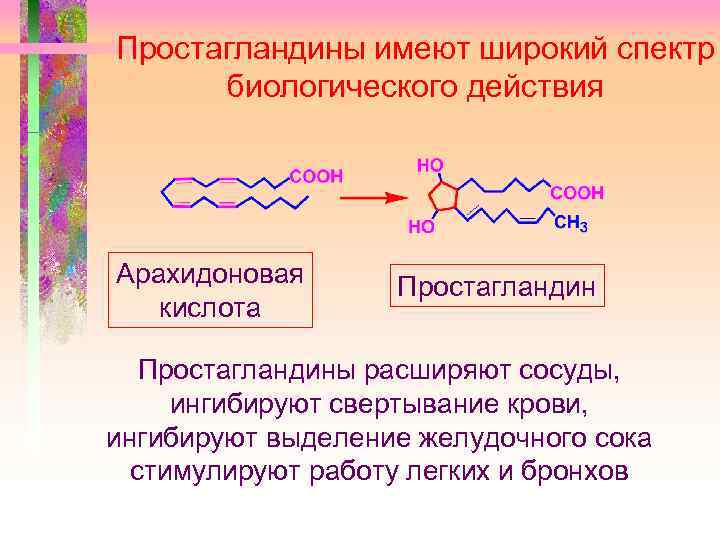Простагландины имеют широкий спектр биологического действия Арахидоновая кислота Простагландины расширяют сосуды, ингибируют свертывание крови,