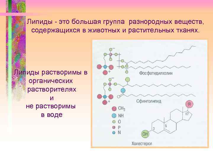 Липиды - это большая группа разнородных веществ, содержащихся в животных и растительных тканях. Липиды