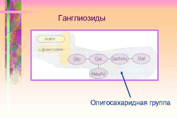 Ганглиозиды Олигосахаридная группа 