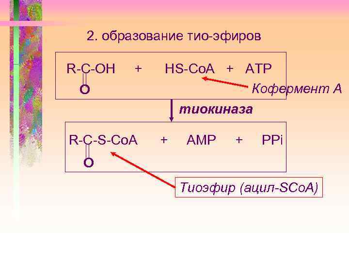 2. образование тио-эфиров R-С-ОН + О R-C-S-Co. A НS-Co. A + ATP Кофермент А