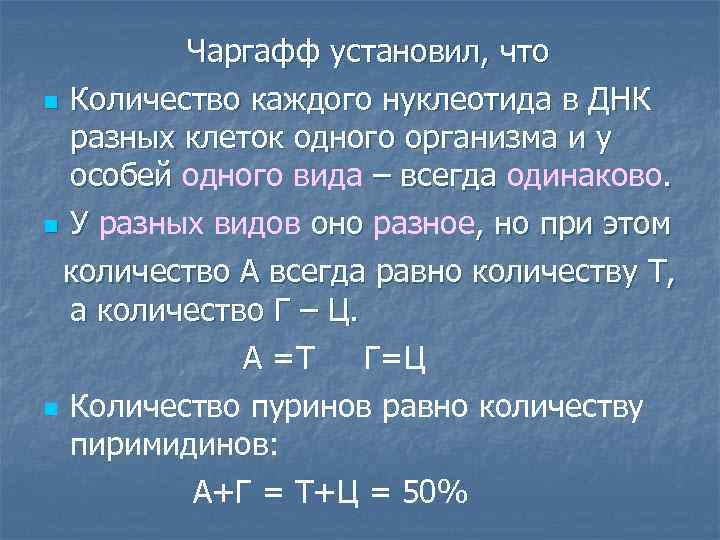 n Чаргафф установил, что Количество каждого нуклеотида в ДНК разных клеток одного организма и