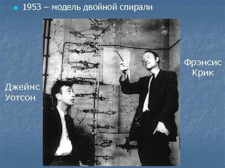 n 1953 – модель двойной спирали Фрэнсис Крик Джеймс Уотсон 