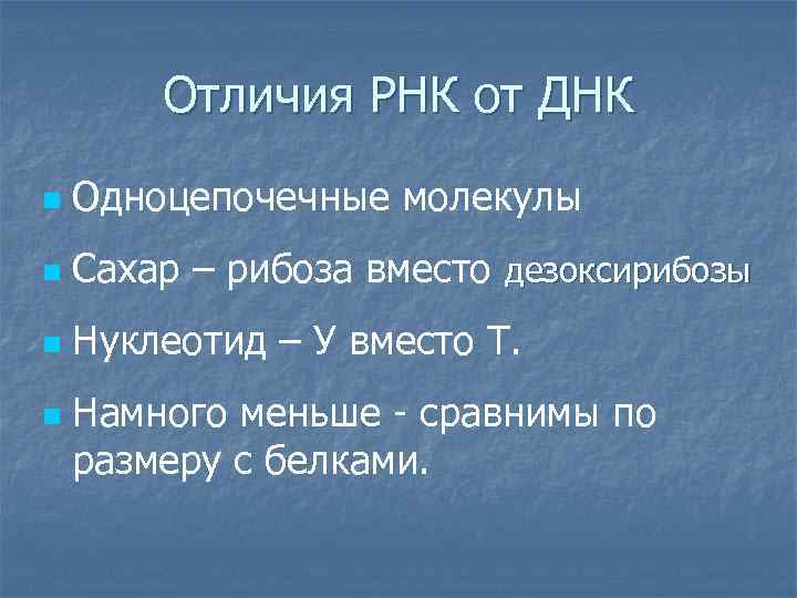 Отличия РНК от ДНК n Одноцепочечные молекулы n Сахар – рибоза вместо дезоксирибозы n