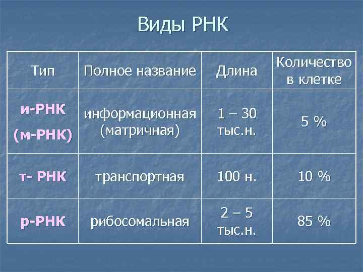 Виды РНК Полное название Длина Количество в клетке информационная (матричная) (м-РНК) 1 – 30