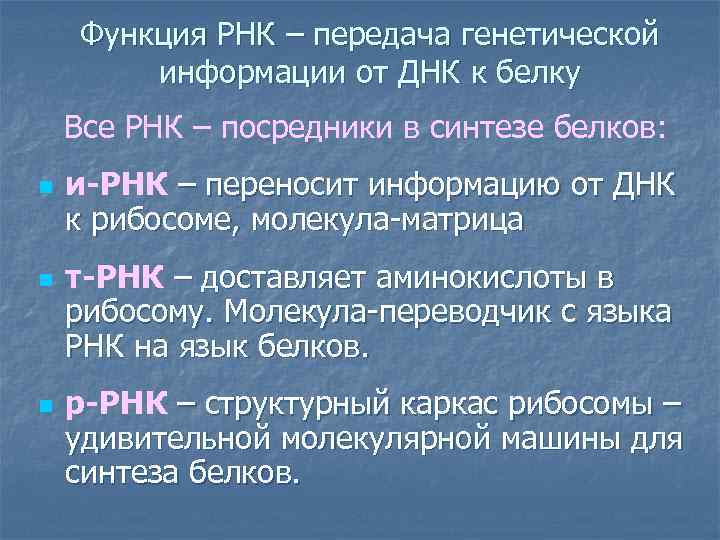 Функция РНК – передача генетической информации от ДНК к белку Все РНК – посредники