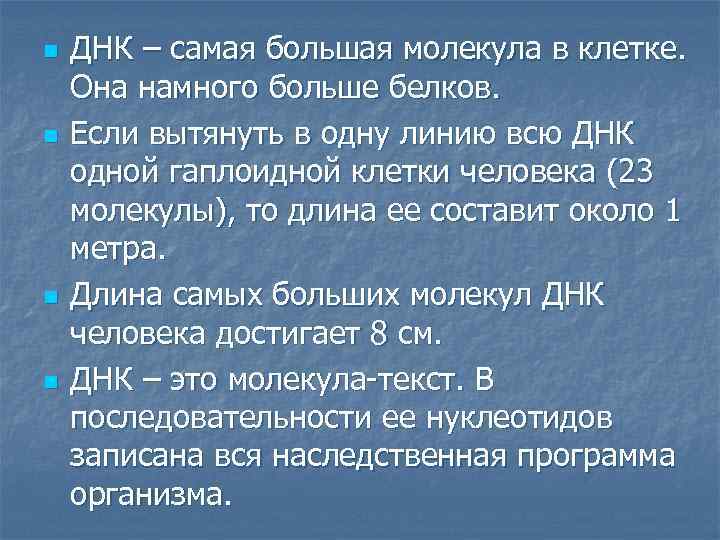 n n ДНК – самая большая молекула в клетке. Она намного больше белков. Если