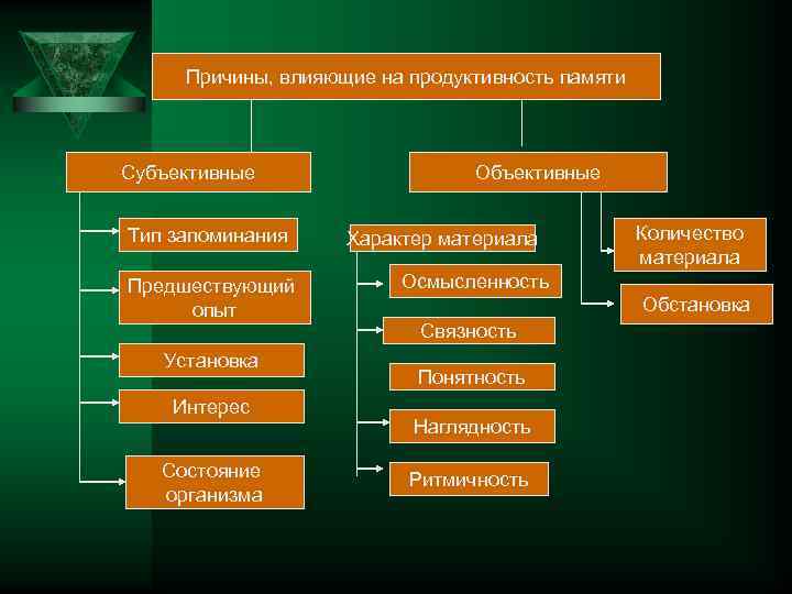 Причины, влияющие на продуктивность памяти Субъективные Тип запоминания Предшествующий опыт Установка Интерес Состояние организма