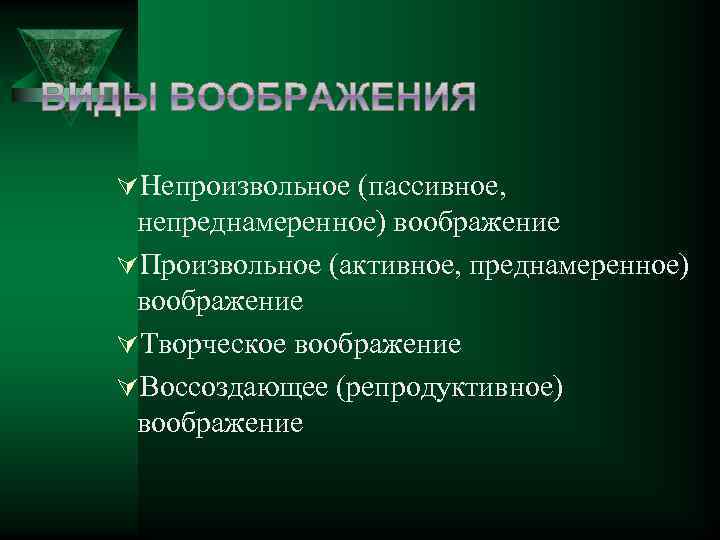 ÚНепроизвольное (пассивное, непреднамеренное) воображение ÚПроизвольное (активное, преднамеренное) воображение ÚТворческое воображение ÚВоссоздающее (репродуктивное) воображение 