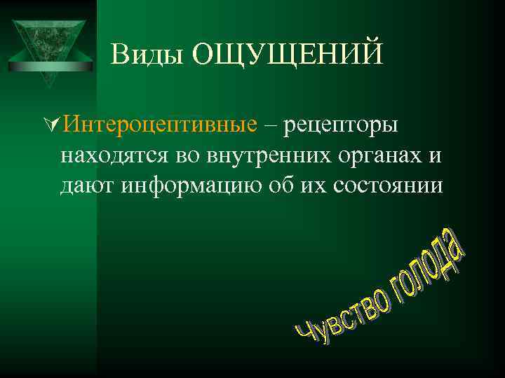 Виды ОЩУЩЕНИЙ ÚИнтероцептивные – рецепторы находятся во внутренних органах и дают информацию об их