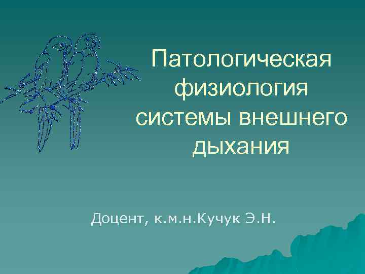 Ст дыхание. Патологическая физиология внешнего дыхания. Патофизиология дыхательной системы. Патология системы дыхания патофизиология. Патофизиология внешнего дыхания лекция.