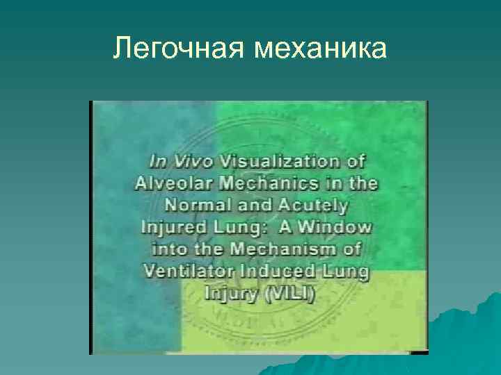 Легочная механика 