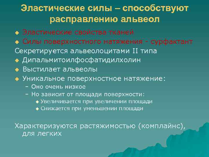 Эластические силы – способствуют расправлению альвеол Эластические свойства тканей u Силы поверхностного натяжения -