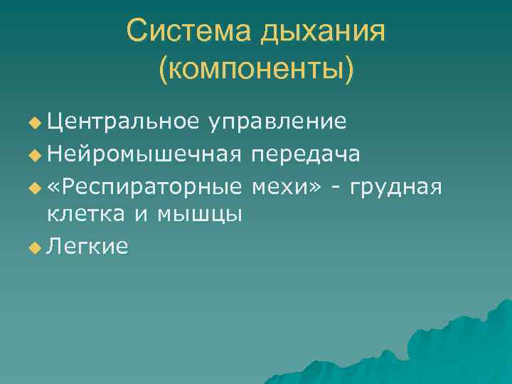 Система дыхания (компоненты) u Центральное управление u Нейромышечная передача u «Респираторные мехи» - грудная