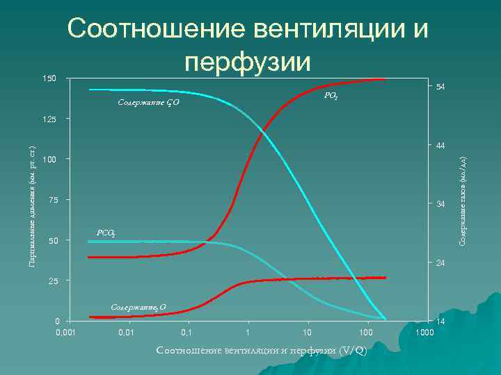 Соотношение вентиляции и перфузии. Вентиляционно перфузионное соотношение. Соотношение вентиляции и перфузии в легких. Диаграмму перфузионно-вентиляционного соотношения.