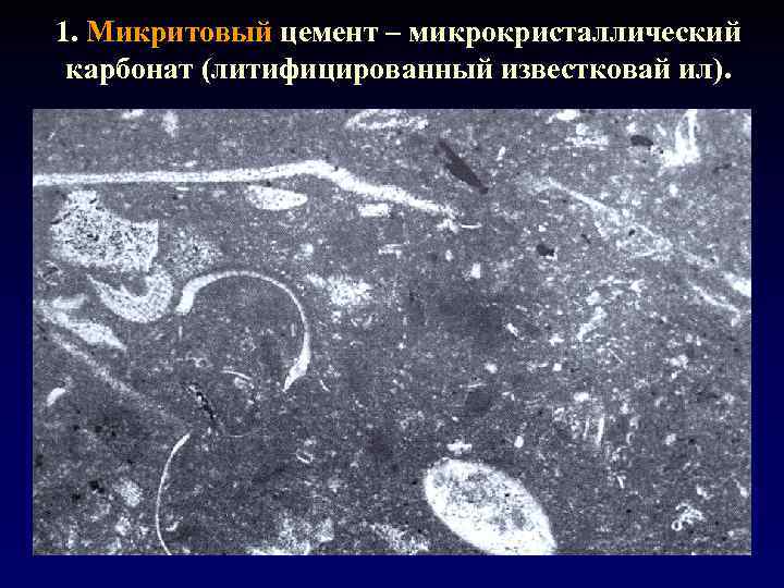 1. Микритовый цемент – микрокристаллический карбонат (литифицированный известковай ил). 