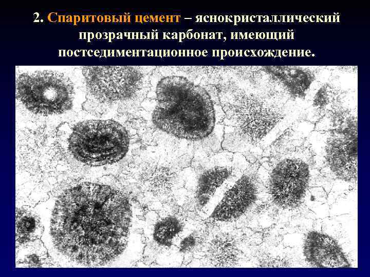 2. Спаритовый цемент – яснокристаллический прозрачный карбонат, имеющий постседиментационное происхождение. 