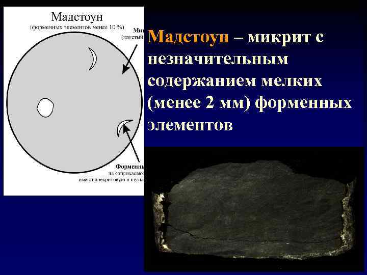 Мадстоун – микрит с незначительным содержанием мелких (менее 2 мм) форменных элементов 