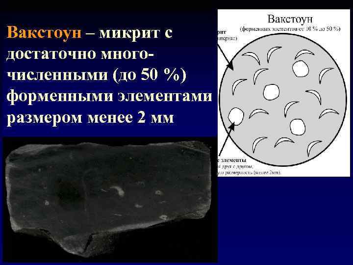 Вакстоун – микрит с достаточно многочисленными (до 50 %) форменными элементами размером менее 2