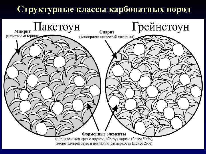 Структурные классы карбонатных пород 