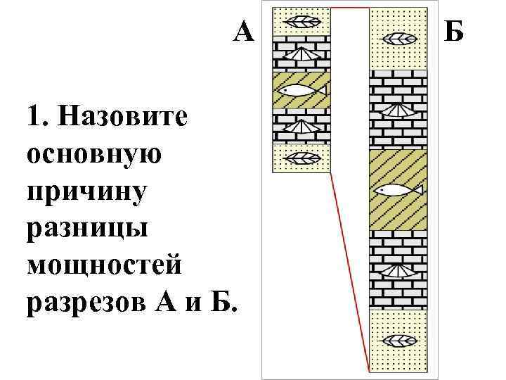 А 1. Назовите основную причину разницы мощностей разрезов А и Б. Б 