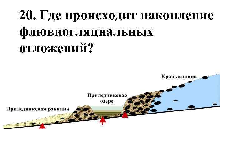 20. Где происходит накопление флювиогляциальных отложений? 