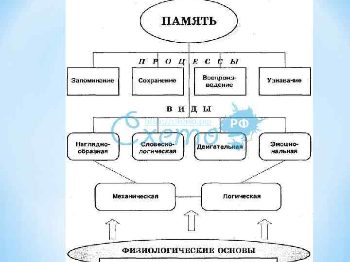 Человек индивид личность взаимосвязь понятий проект