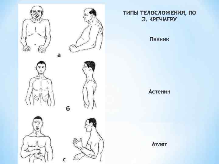 Как соотносятся понятия образ тела и схема тела